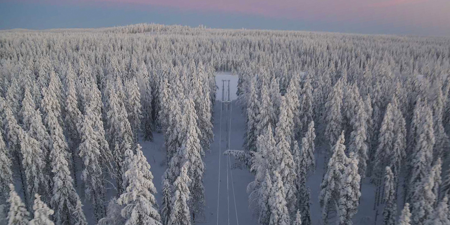 Sähköjohdoille kertyvä kuura ja lumi saattavat aiheuttaa sähkökatkoja.