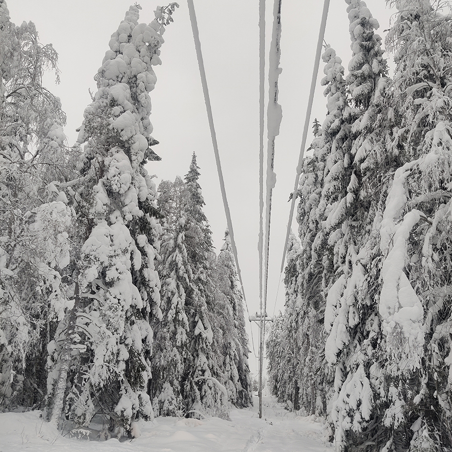 Tykkylunta linjoilla