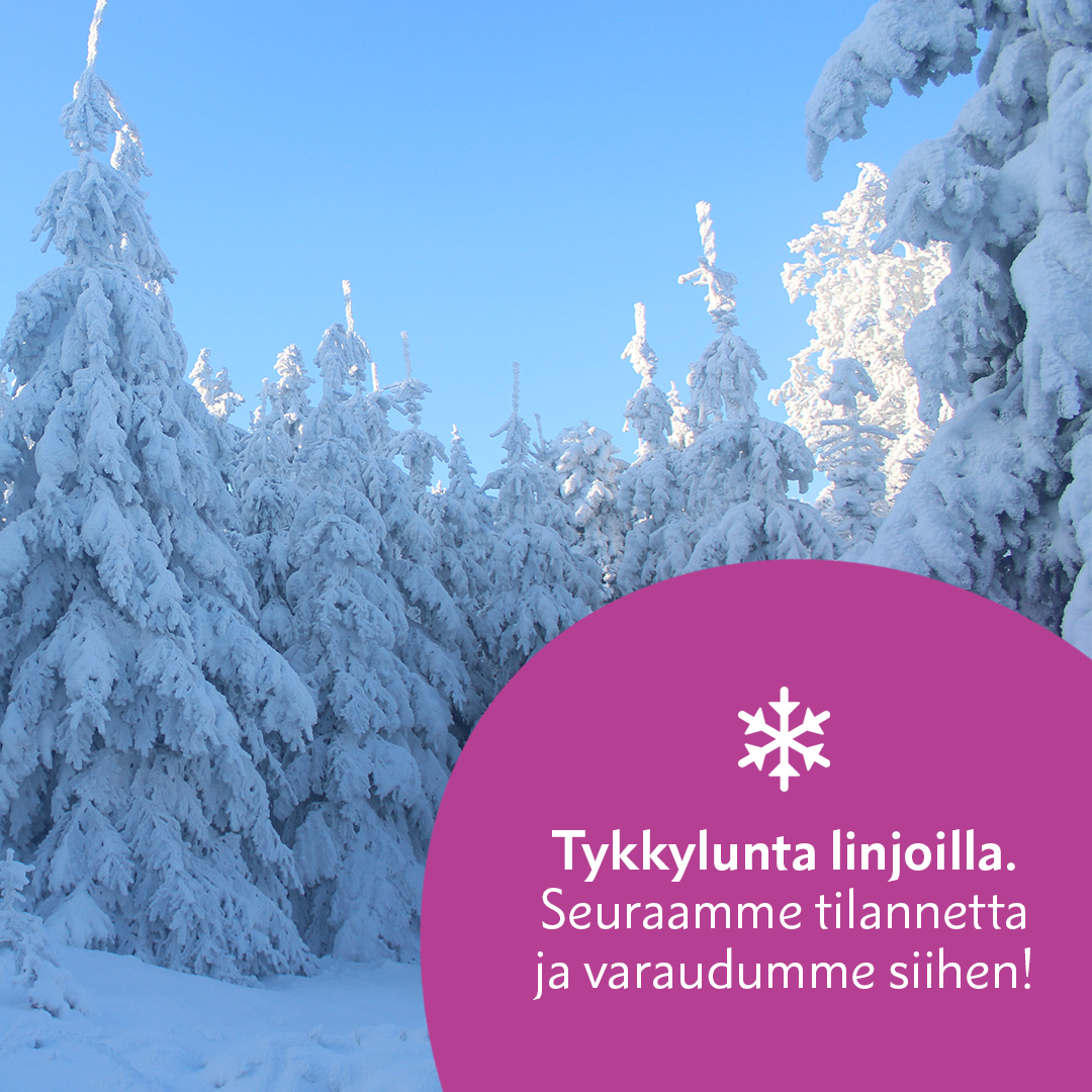 Tykkylunta linjoilla