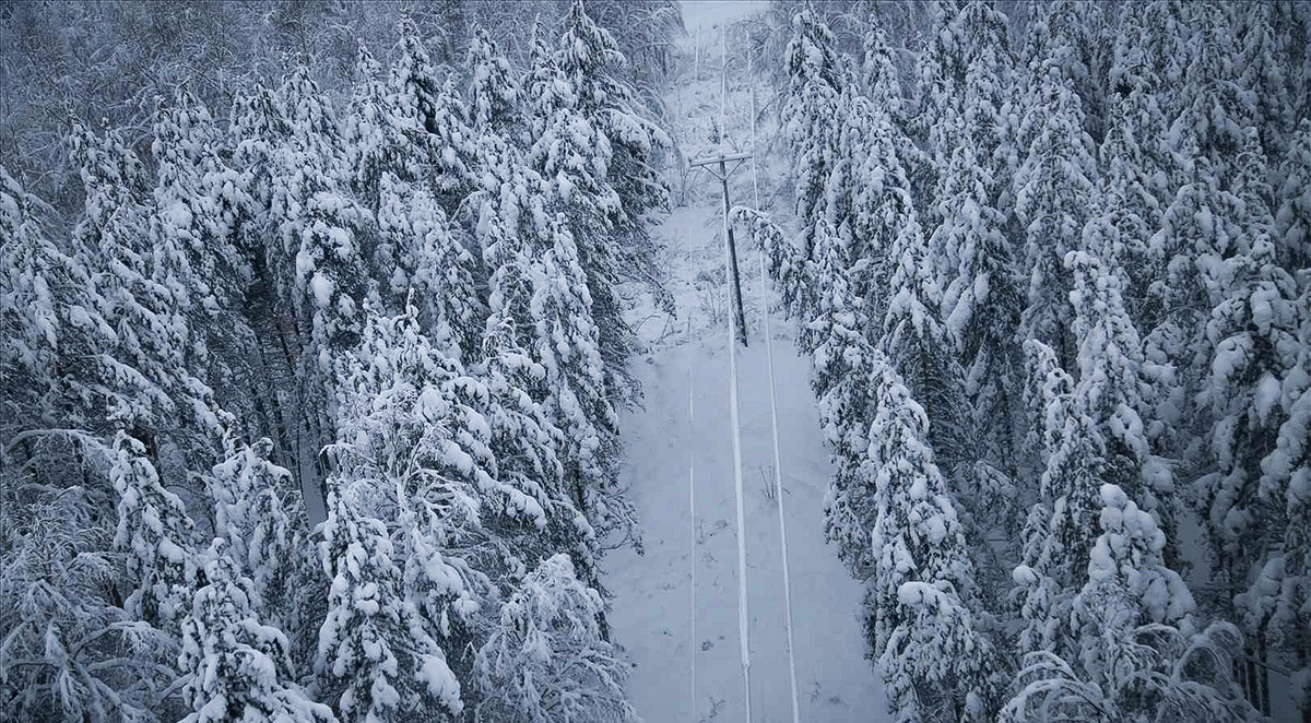 Sähkölinja talvisessa metsässä.