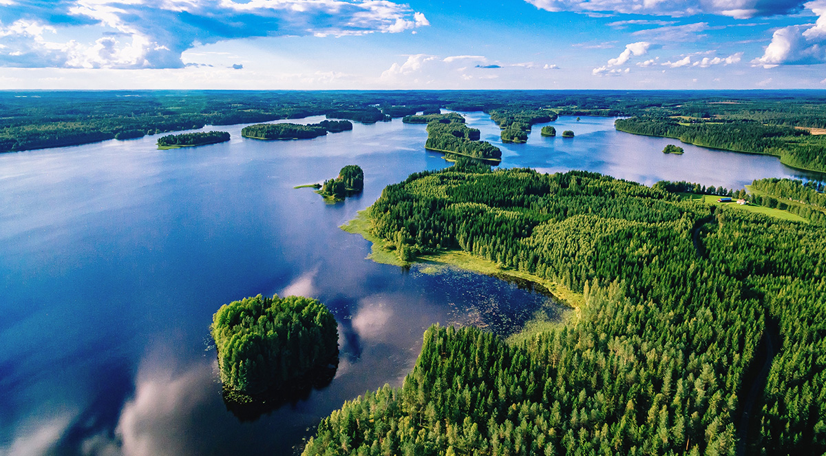 Kesäinen jokimaisema vihertävällä metsällä