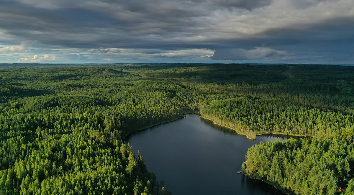 Kuusimetsän ja järven yllä tummia pilviä