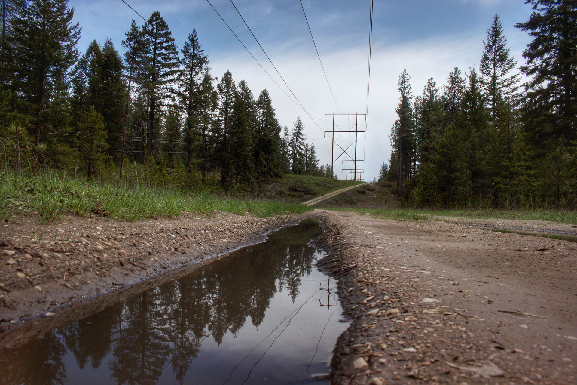 Long puddle in the countryside reflecting the tall