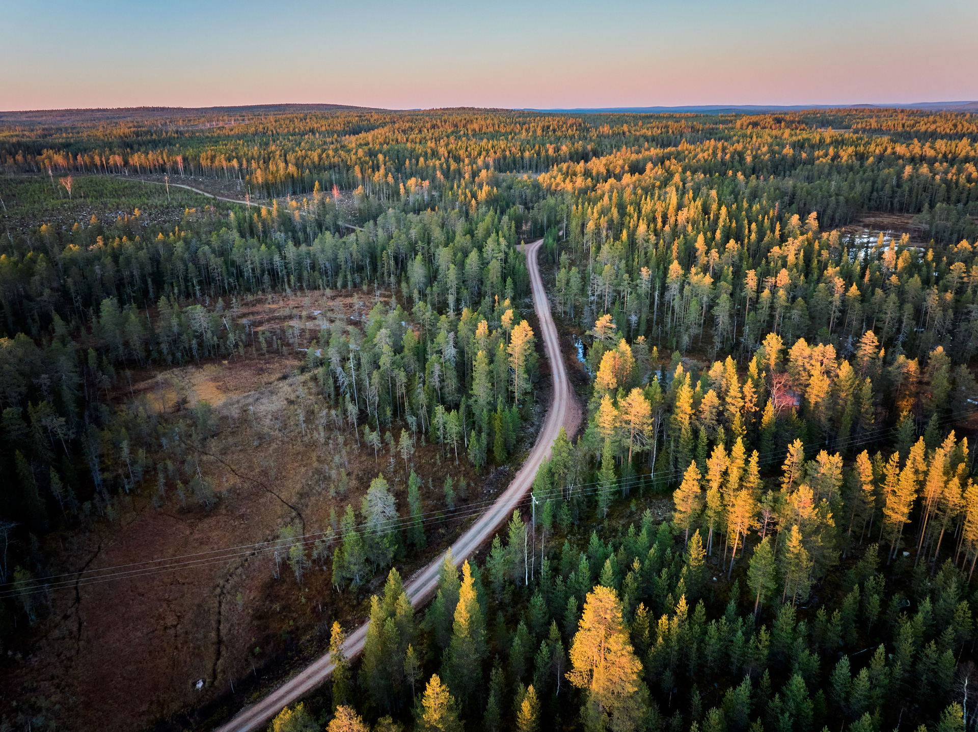 Metsä